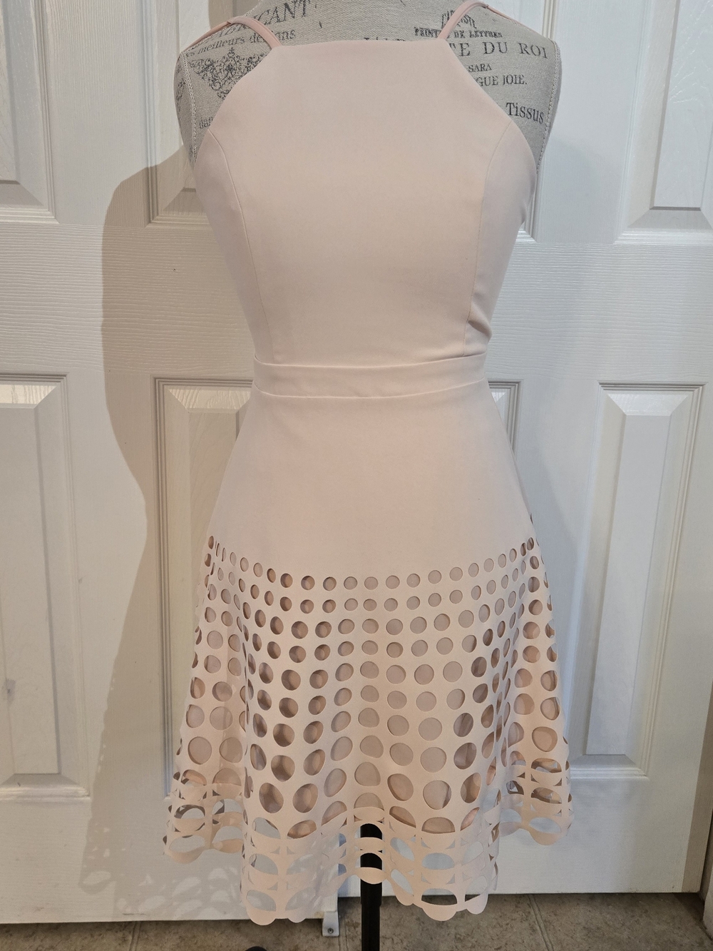 Sleeveless Blush Laser-Cut Fit & Flare Dress